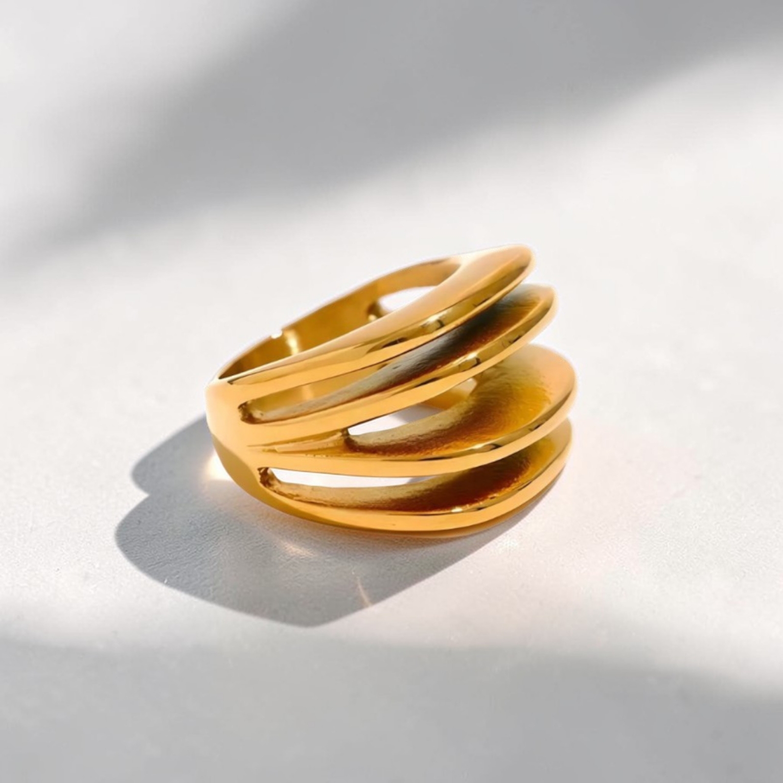 Lisa Ring